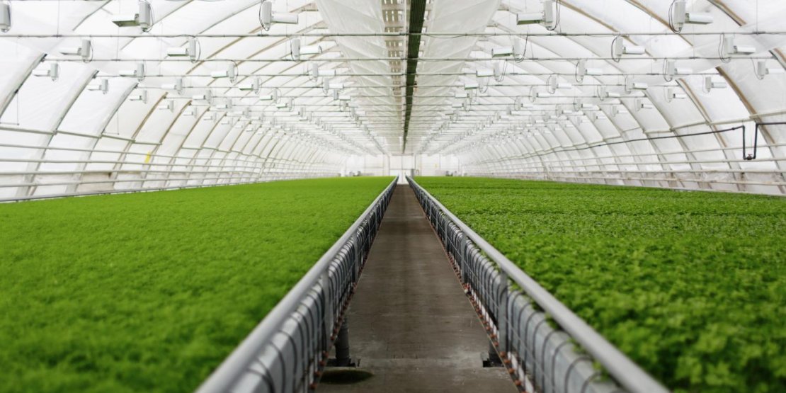 Deshumidificateur pour serre agricole